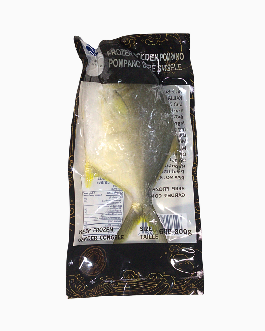 金鯧魚