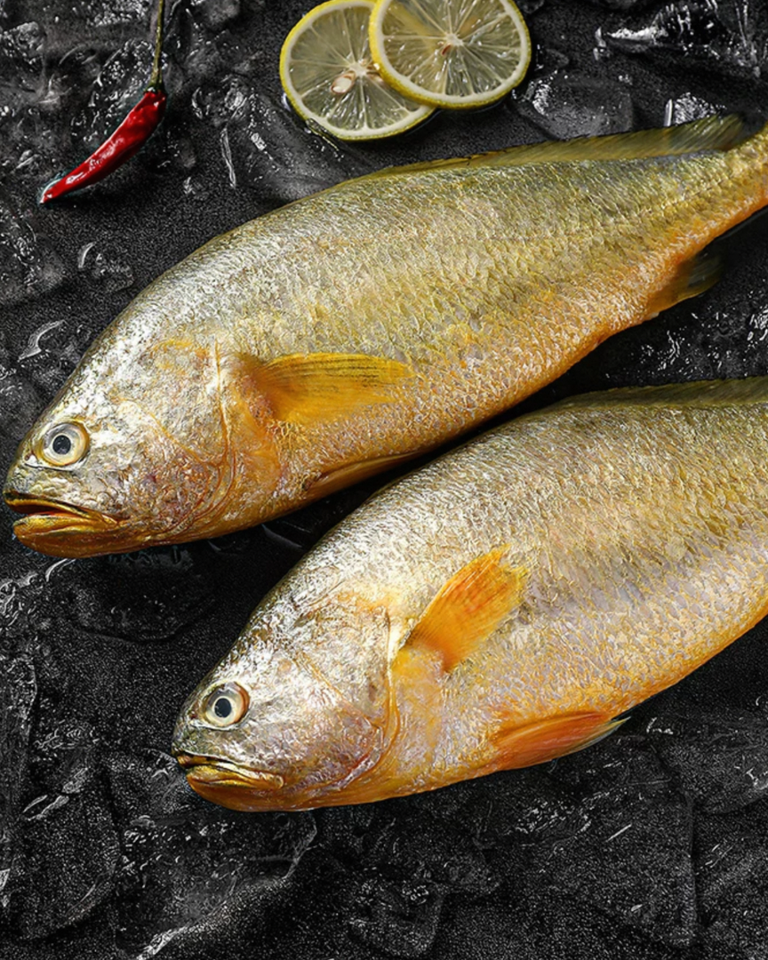凍大黃魚