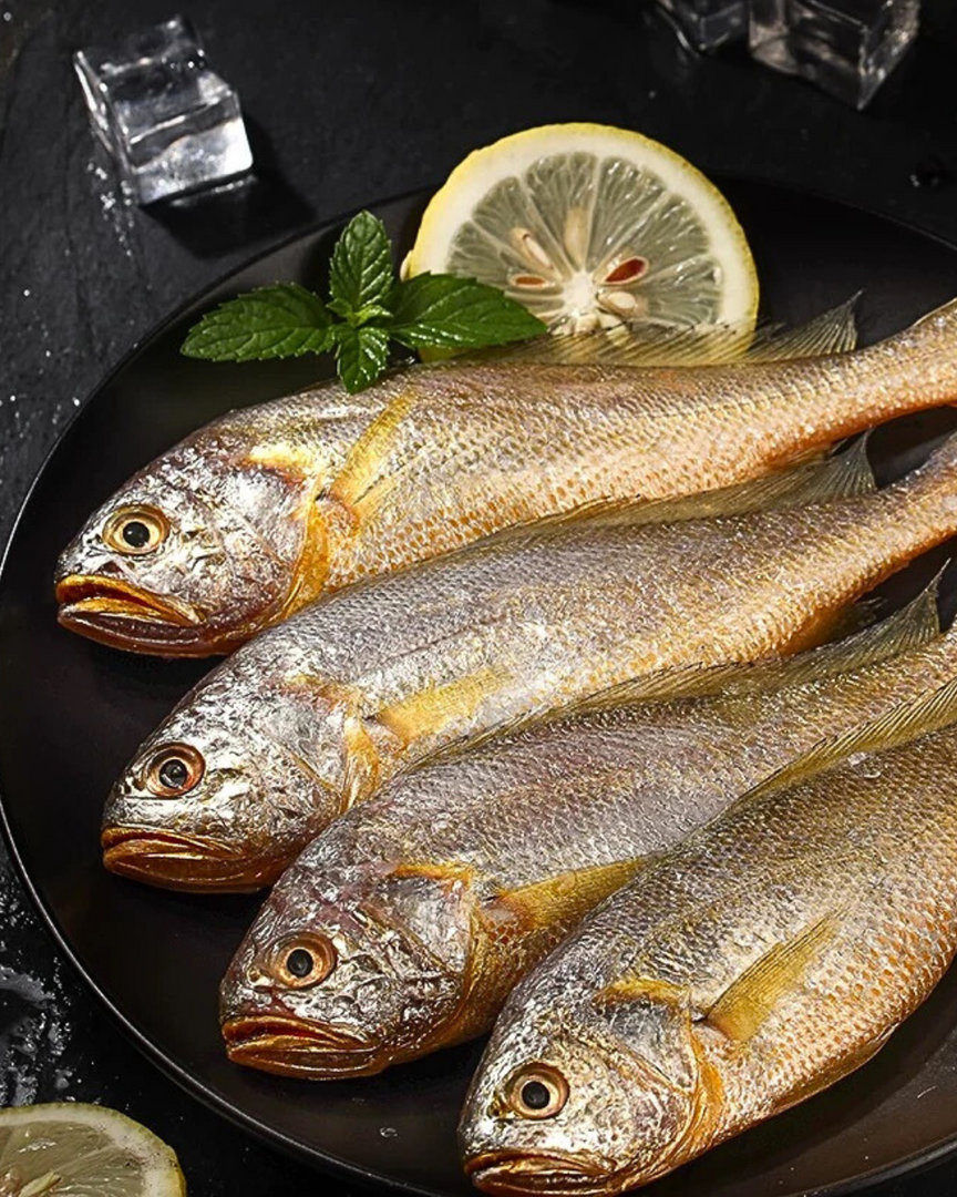 Wild small yellow croaker